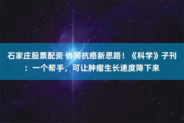 石家庄股票配资 协同抗癌新思路！《科学》子刊：一个帮手，可让肿瘤生长速度降下来